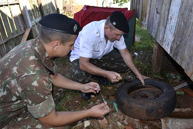 Combate Dengue (10)