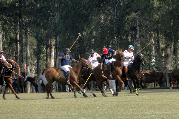 torneio polo 8 rc mec