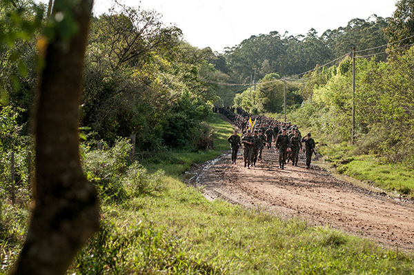  DSC4209 cópia