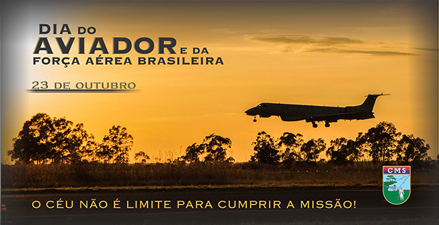 Dia do Aviador 2020 alterado